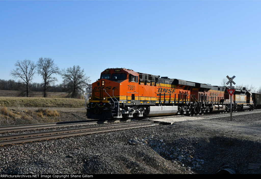 BNSF 7981